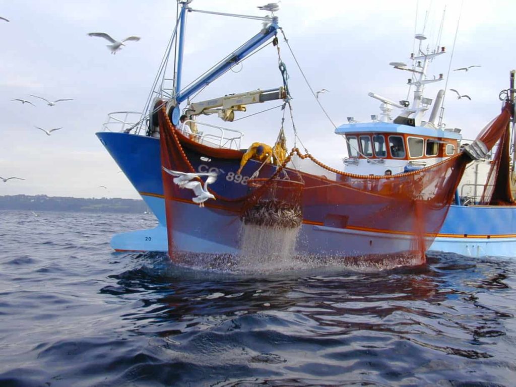 peche filet marins - 1
