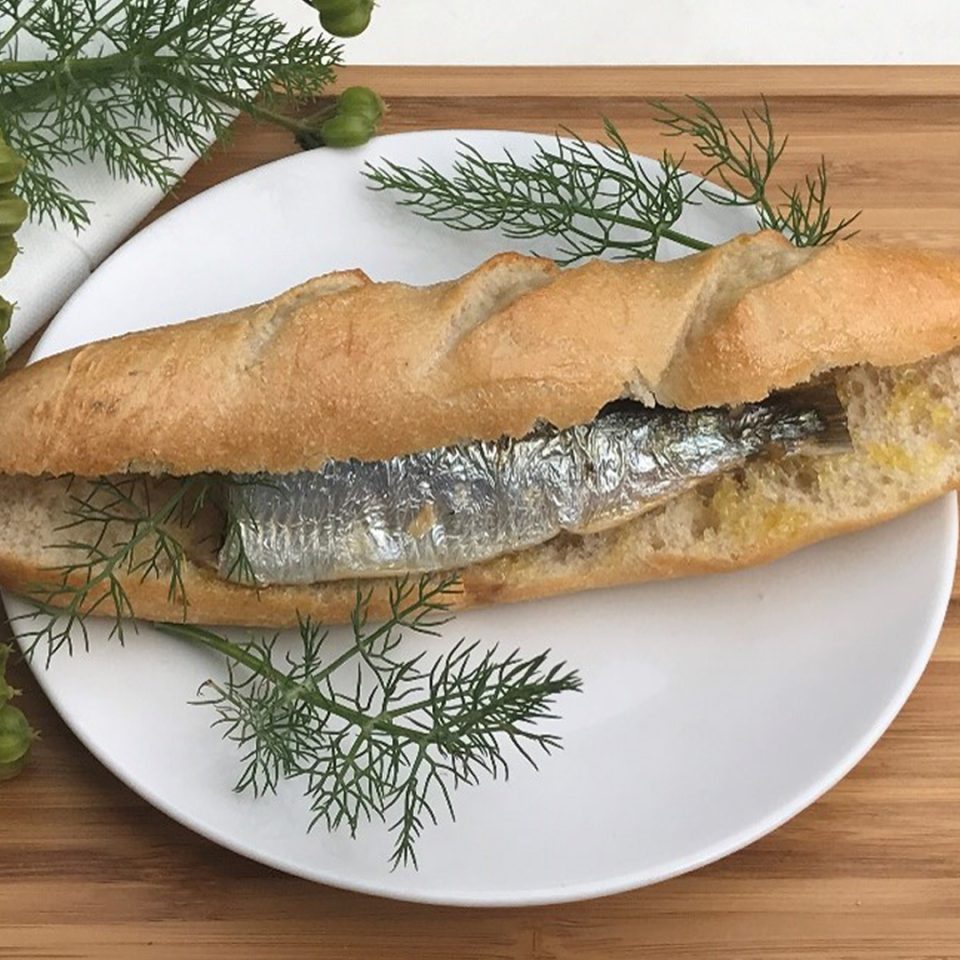sardine-MISE-EN-P
